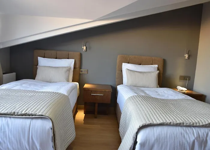 The Elegant Hotel